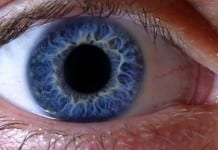 Medical Student Accidentally Identifies Retina on Fundoscopic Exam eyeball retina