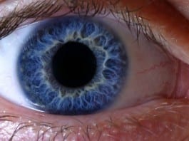 eyeball retina