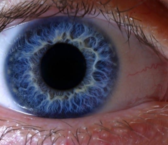 Ophthalmologist Palpates Retina with Finger As Part of Dilated Eye Exam eyeball retina