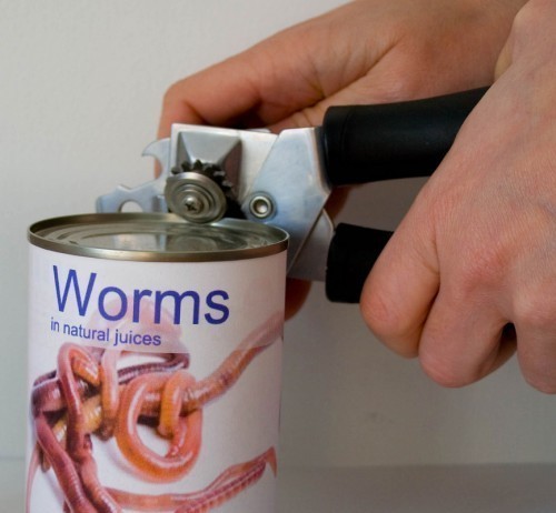 Secret of Successful Weight Loss Clinic: Tape Worms
