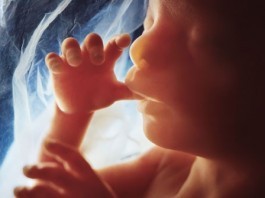 Baby Finds His Umbilical Cord, Passes Out