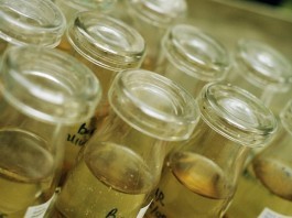 Local Man Overdoses on Homeopathic Medication