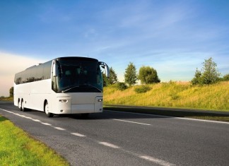 Tattoo-to-Tooth Ratio a Strong Intelligence Predictor