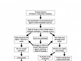 Updated 2015 Trauma Airway Algorithm Trauma bay airway algorithm