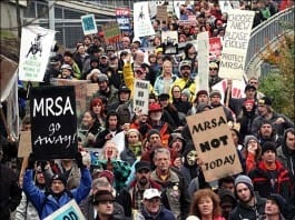 New York Outlaws MRSA