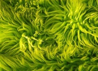 Operating Room from the 70s Shutting Down, ‘Difficult to Clean’ shag OR