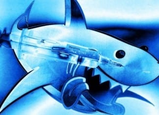 Shark Attack Victim Denied Narcotics