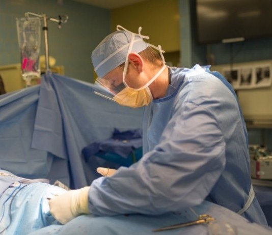 Bones: An Orthopedic Surgeon’s Perspective orthopedic surgeon