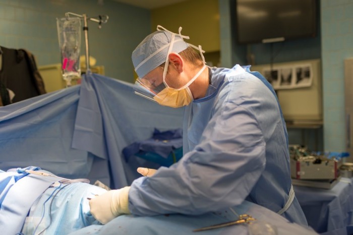 ortho surgeon Midget