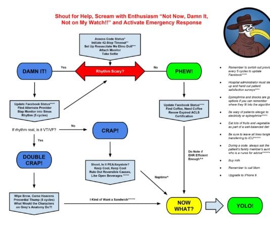 Updated 2015 ACLS Algorithm