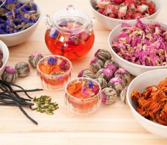 Ask Alternative Medicine Doctors About Ebola alternative medicine