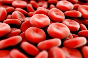 red blood cells