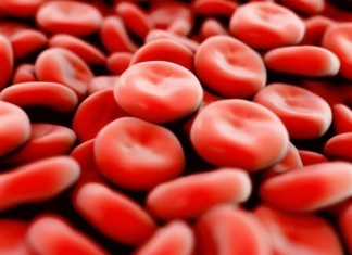 Alternative Blood Bank Offers Homeopathic Blood Products red blood cells