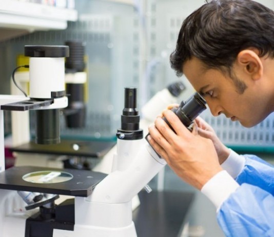 Surgeon Sends Lunch for Frozen Section pathologist