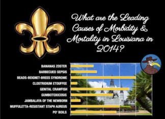 What are the Leading Causes of Morbidity & Mortality in Louisiana in 2014?