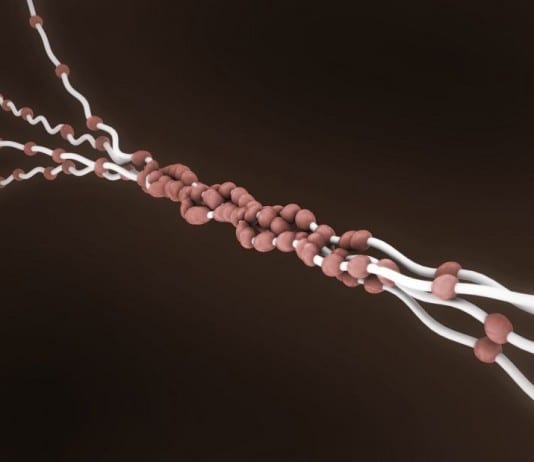 Collagen Etude collagen