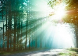 New Study Shows Tammyflu Pills Provide Eternal Life eternal life