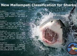 New Mallampati Airway Classification for Sharks