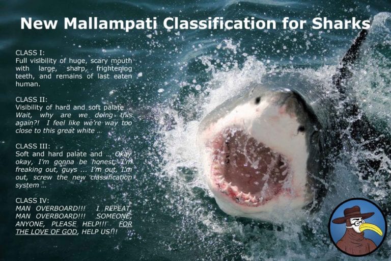 New Mallampati Airway Classification for Sharks