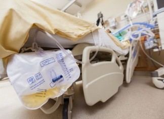 Eco-Unfriendly Plastic Urinary Catheters Banned, Replaced by Paper Ones urine foley catheter