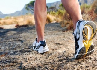 Census Data Project Power-Chair Riders Will Outnumber Pedestrians by 2040 walking