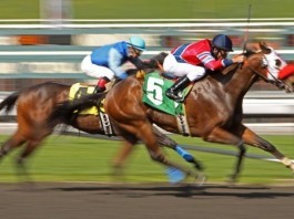 Kentucky Derby Will Include a Hospital Specialty ‘Race for the Roses’ at Churchill Downs kentucky derby