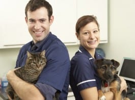 Veterinarians to Care for Children veteranarian