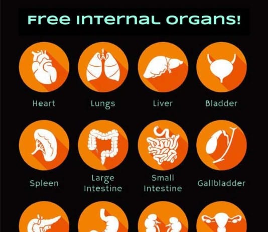Clinic Handing Out Free Organ Samples clinic organ samples