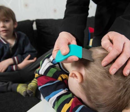 Frantic Mom Hires Exterminator to Rid Son’s Head of Lice head lice