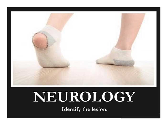 Neurology Memes