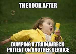 nursing dump service