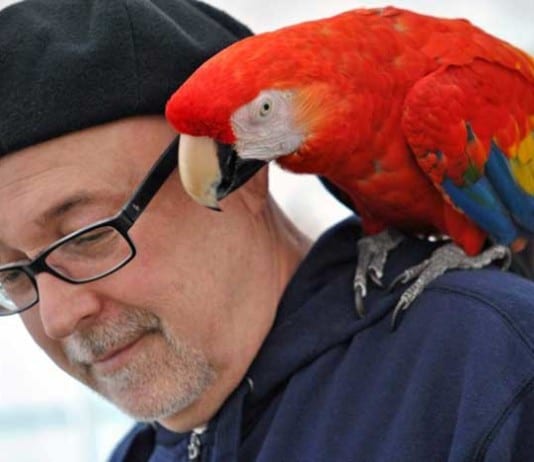 Health Department Gives Parrots To Patients Who Need Reminding parrot on shoulder