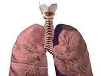 Pulmonary Fellowship Personal Statement