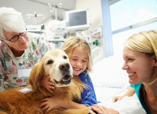 Physician Reprimanded for Overprescribing Therapy Dogs therapy dog