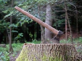 New Orthopedic Surgery Simulator a Warehouse Filled with Tree Stumps, Blunt Ax orthopedic