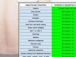 An Internist’s Guide to the Description of Rashes