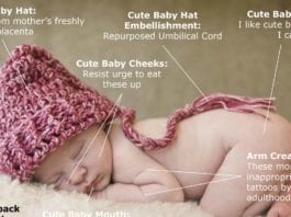 Anatomy of a Cute Baby