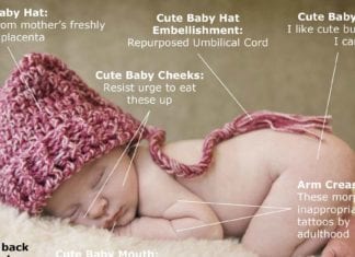 Anatomy of a Cute Baby