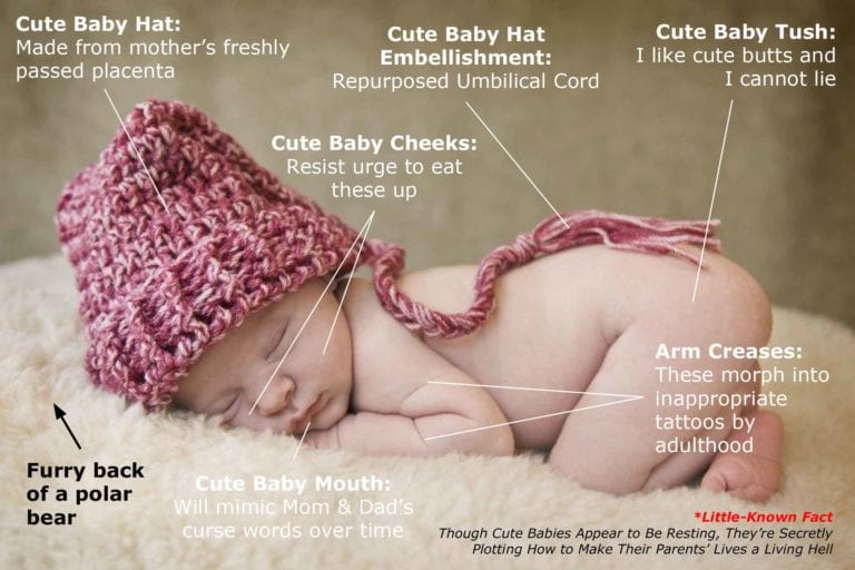 Anatomy of a Cute Baby