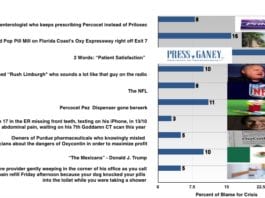 The Opioid Epidemic: Who is Responsible? opioid bar graph