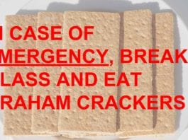 97% of World’s Graham Cracker Supply Located in Hospital Drawers, White Coat Pockets graham crackers
