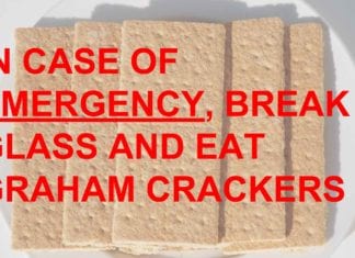 97% of World’s Graham Cracker Supply Located in Hospital Drawers, White Coat Pockets graham crackers