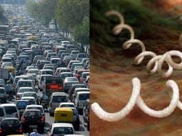 Traffic Not Only Causes Stress, It Causes Syphilis Too