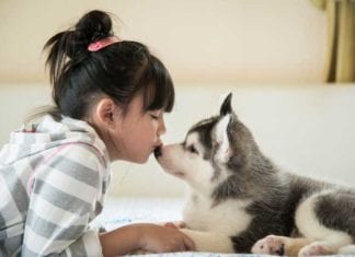 Study Finds Puppies, Ice Cream, New Toys Associated with Immediate Cessation of Pediatric Pseudoseizures puppy pediatrics
