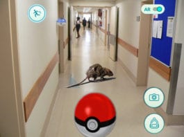 Hospital Rat Mistaken for Pokémon