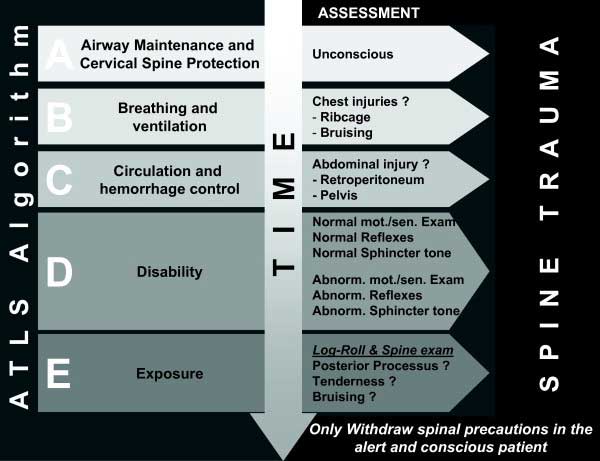 atls by medical specialty