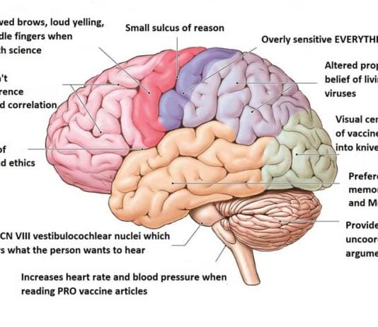 Mutations in the Anti-Vaxxers’ Brain Discovered anti vaccine brain