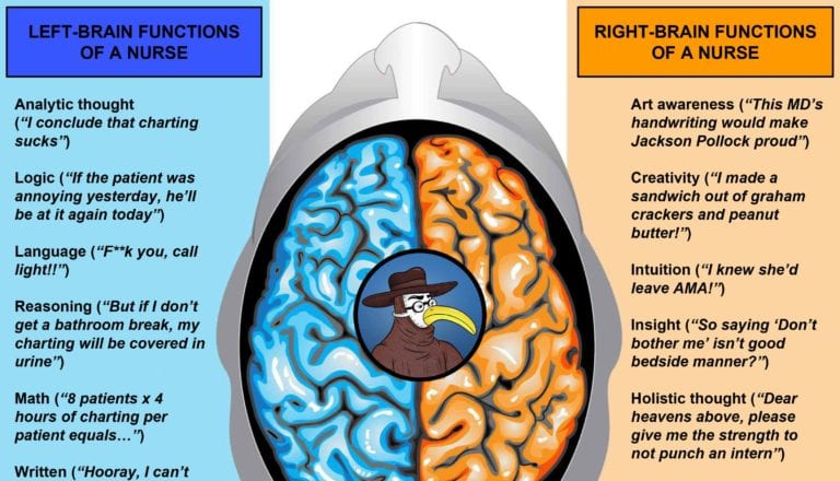 brain hemispheres nurse