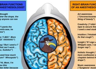 The Left & Right Hemispheres of an Anesthesiologist brain hemispheres anesthesiologist