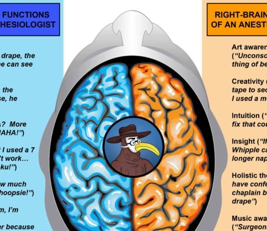 The Left & Right Hemispheres of an Anesthesiologist brain hemispheres anesthesiologist